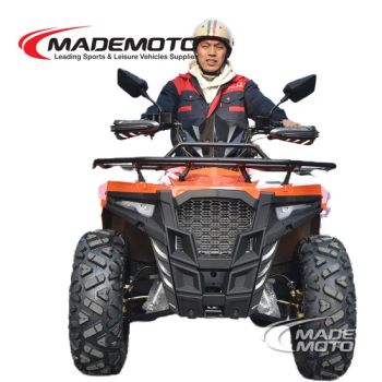 2025 New Model 4X4 4 Wheeler ATV Quad 300cc 350cc Offroad Vehicle 4 Wheels Motorcycle - Wiztem Industry Company Limited - China