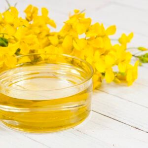 Canola Oil Cold Pressed Rapeseed Oil in Glass Bottle for Cooking Edible Canola Oil Pure Natural Organic Bulk Export Grade - FK GLOBAL TRADING - Netherlands