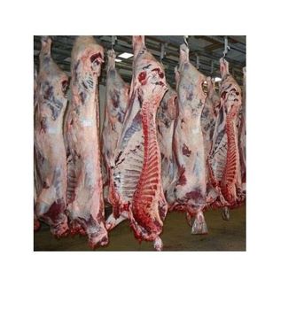 Frozen and Fresh Lamb Carcass / Lamb Meat Grade A Texture Tender Flavor Flavorful Max. Moisture (%) 5 Freeze Temperature -18°c -  CALIPSO POLSKA SP Z OO  - Poland