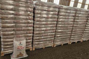 Nice Cheap Long Burn LB9823 Other Shape Pine Wood Pellets for Cooking 15kg Bags (Din Plus / for ) 1100-1300kg/m 10% - Smart Agri GmbH - Germany