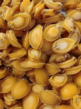 Dried Abalone - fuqing maowang seafood developing co.,ltd - China