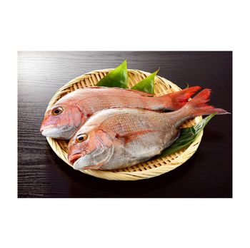 frozen red sea bream fish fillet for sale price supplier Grade A Texture Firm Flavor Delicate Max. Moisture (%) 5 Type Frozen Red Seabream Fish -  CALIPSO POLSKA SP Z OO  - Poland
