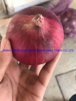 2021 China Fresh Shallot Chinese Shallot Red Skin Onion 3 7cm 5 8cm 8cm up Vary Size Top Quality Manufacture Direct Supplier Lowes - JINING GREEN GARDEN INTERNATIONAL TRADE CO., LTD. - China