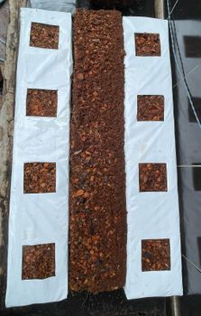 Coco Coir Hydroponics Grow Bag Grade A Type Grow bag Packaging - GroMax Coir Substrates - India