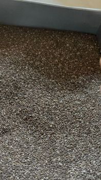 Chia Seeds from Vayun Traders Chia Seeds - Vayun Traders - India