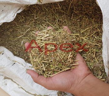 Ashwagandha Leaves Form Leaves Material Dry Leaves Place of Origin India Max. Moisture (%) 10%-12% Brand Name Apex International - APEX INTERNATIONAL - India