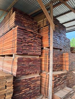Mahogany - Apolo Group - United States
