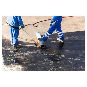 Water Proofing Membranes for Roof Sbs Fire Baked Modified Asphalt Coiled Material - Jiangxi Zhengjie New Material Co., Ltd. - China
