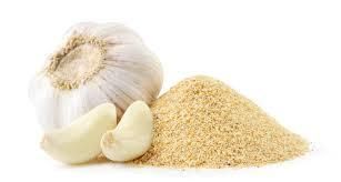 GARLIC POWDER Ground Garlic  Dehydrated Garlic Powder  Garlic Spice - MSQUARE TREND - India