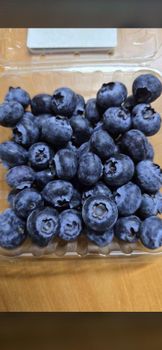 Blueberry - ART LOG MAROC - France