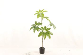 Umbrella Tree New Style Ecofriendly Artificial Plant - Guangdong Senbo Arts & Crafts Co., Ltd - China