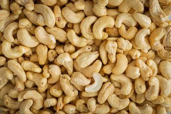Wholesale Premium Cashew Nuts (W320/W240) – Bulk Supply for Export & Food Industry - Trapani Global Trade B.V. - United States