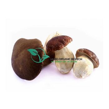 Boletus edulis whole / Porcini mushroom slices Grade Food Brand Name Huibo Form Raw, slices Type Mushroom Extract Packaging Vacuum - Shanghai Huibo International Trade Co., Ltd. - China
