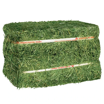 High Protein Forage Feed – Alfalfa Hay for Livestock Use Natural Green Fodder Hay – Consistent Supply for Farms - FK GLOBAL TRADING - Netherlands