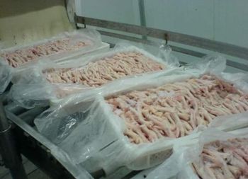Wholesale Halal Chicken Feet / Frozen Chicken Paws Brazil / Fresh Chicken Wings and Feet and Paws - BLAZRI  - Brazil