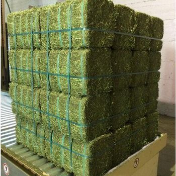 Cheapest Alfalfa Hay Animal Feeding Stuff Alfalfa, hay/alfalfa hay pellets Timothy Hay Wholesale Man - VERTEX TRADING LIMITED - United Kingdom