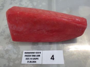 Frozen Yellowfin Tuna Weight 2-4kg Net Weight 100% Packing 25kg/carton Treatment Co Treated Weight (kg) 100% NET WEIGHT Packaging IQF, IVP 10KGS/CTN - Hai Trieu Co., Ltd.,  - Vietnam
