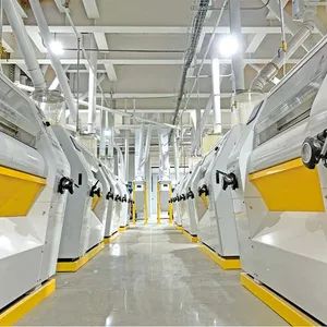Multi Functional Maize Flour Machine for Maize and Other Grain Processing Flour Mill Plant - SHANDONG XINGFENG FLOUR MACHINERY CO., LTD. - China