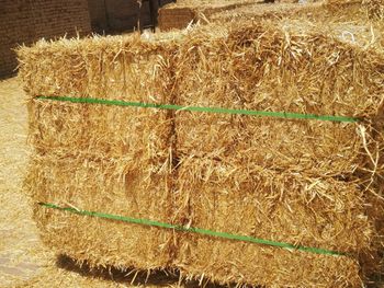 Wheat straw from BF GLOBAL TRADING (PTY) LTD Wheat straw - BF GLOBAL TRADING (PTY) LTD - South Africa