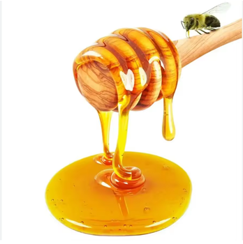 Pure Natural Mature Raw Honey Hot Sale 100% Organic Bee Honey - AK.BOLO MEDIK LTD - Thailand