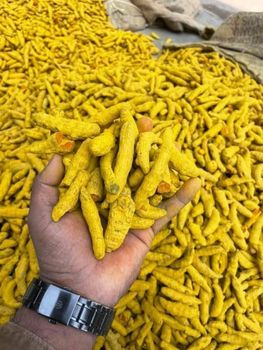 Turmeric - SUPER PLASTIC - India