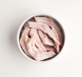 High Quality Frozen Duck Feet Carefully Selected Clean Processed Buy With Confidence At Competitive Price - CPW TRADE LTD - United Kingdom