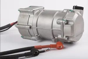 Integrated Cooling System Compressor for Electric Vehicle with Low Voltage - Kepler(Putian)Import&Export Co., Ltd. - China