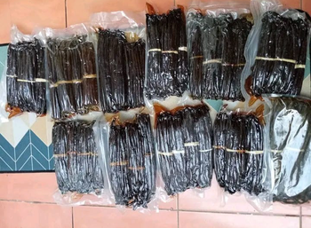 Vanilla Beans Grade A Length 14–18 Cm Origin Tanzania Vanillin Content High Type Vanilla Planifolia Moisture Content 30–35% - SILVERSTONE IMPORT AND EXPORT LIMITED - Tanzania