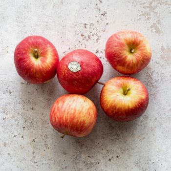 Premium Fuji Fresh Apples Farm Picked Sweet Crisp Fruit Perfect For Daily Snacking Healthy Family Choice - TRADECENTRIC LLC - United States