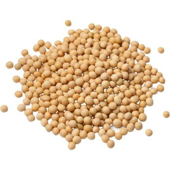 Protein Rich Soybean Seed For Food With Carefully Selected Kernels Natural Freshness And Trusted Agricultural Origin - TOSOH INTERNATIONAL - South Africa