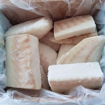 High Demand Atlantic Cod Fresh Frozen Premium White Fish for Bulk Buyers Restaurants Hotels and Food Service - PILOTEXPORT IMPORT AND EXPORT LTD - South Africa