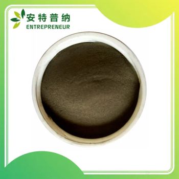 Filamentary Nickel Powder as Binder for Hard Metals and Diamond Tools - Beijing Entrepreneur Science & Trading Co. Ltd. - China