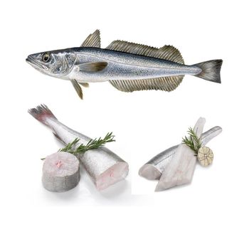 Fresh Hake Skinless Fillets Crafted For Fine Dining Menus With Uniform Cuts And Appealing White Flesh Quality - TOSOH INTERNATIONAL - South Africa