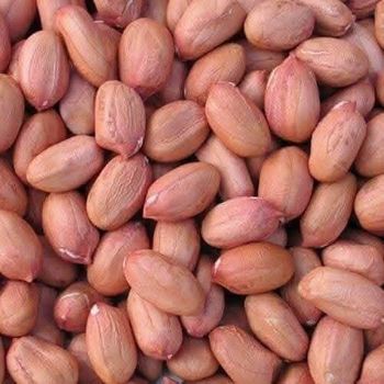 100% Organic Groundnut Manufacturer and Exporters Best Supplier Peanut Extract Oil Peanut Oil for Cooking whatsap +255787979235 - AL JABLI TRADING COMPANY LIMITED - Tanzania