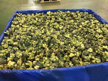FROZEN BROCCOLI from PACKFROST SL FROZEN BROCCOLI – product photo, Fresh Frozen Chicken products found from trusted suppliers, wholesalers, manufacturers & exporters Listing