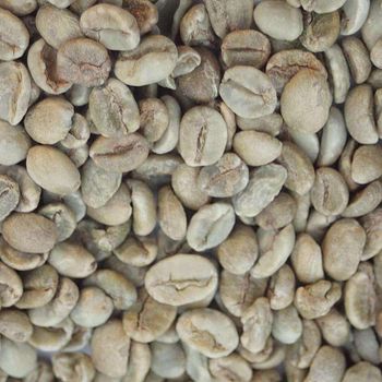 Hot Selling Premium Quality Robusta Arabica Coffee Beans Organic Direct Wholesale Green Roasted Blended Colored Dried Style Bulk from AGRONOVA Hot Selling Premium Quality Robusta Arabica Coffee Beans Organic Direct Wholesale Green Roasted Blended Colored Dried Style Bulk - AGRONOVA - United States