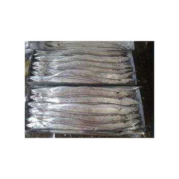 Wholesale Frozen Whole Ribbon Fish Premium Quality Content Fish Features Lactose-Free - BMU TRADING GMBH - Germany