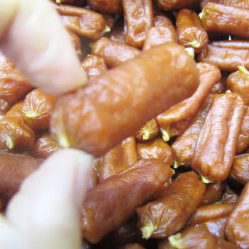 OEM ODM Manufacturer Nutrisource Dried Chicken Sausage Pet Food Cat Snack Dog Product - Qingdao Ezchong Biotechnology Co., Ltd. - China