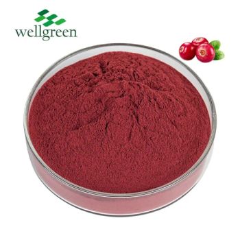 Wellgreen Free Sample Food Grade Natural Cranberry Concentrate Juice Powder - Wellgreen Technology Co., Ltd - China