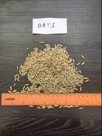 Oats Maximum Humidity 13.5% Maximum Mix Content 5% Maximum Other Impurities 2% Minimum Protein Content 12% Maximum Aflatoxin Level 20 - Auto petroleum - China