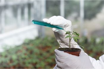 Agrochemicals - Agrimines International - Egypt