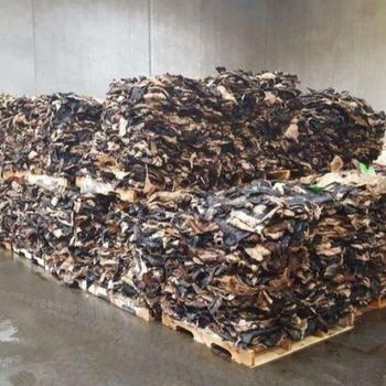 High Quality Donkey Hides, Affordable Bulk Wholesale for Export - A.C.P. AGRICULTURE COMPANY LIMITED - Thailand