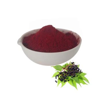 Hot Sale Water Soluble Instant Elderberry Juice Powder Fruit Powder - Shaanxi Hongkang Biological Technology Co., Ltd. - China