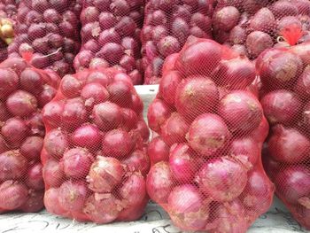 Fresh red onion - DABELU ENTERPRISES LIMITED - Kenya
