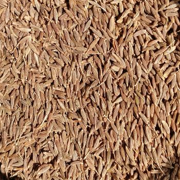 Raw Cumin Seeds Top Quality Cumin Bulk Supplier For Export And Distribution High Purity Fresh Spice 100% - THE GREEN INTERNATIONAL LIMITED - Tanzania
