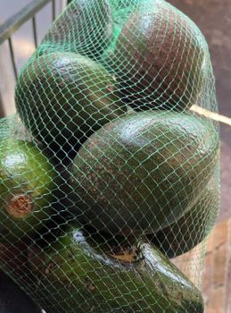 Premium Fresh Avocados from Kenya – Export Quality from GLOBAL AGRICOL LTD Premium Fresh Avocados from Kenya – Export Quality - GLOBAL AGRICOL LTD - Kenya