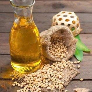 Premium Soybeans for Export - GLOBAL AGRICOL LTD - Kenya