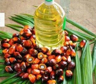 Refined Sunflower Oil & Palm CP-10 Oil Packaging 3L & 5L bottles (Sunflower Oil), Bulk/As agreed (Palm CP-10 Oil) - GLOBAL AGRICOL LTD - Kenya