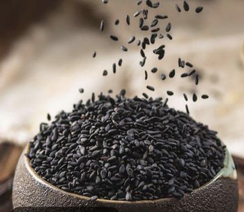 Bulk Black Sesame Seeds Supply Type Supply Type Loading Port Mombasa, Kenya - GLOBAL AGRICOL LTD - Kenya