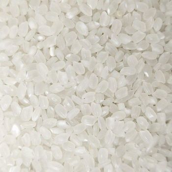 Japonica Rice Wholesale Exporter Providing Premium Short Grain Rice Excellent Cooking Quality 24 Months Shelf - TRADECENTRIC LLC - United States